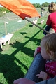 at the pig races